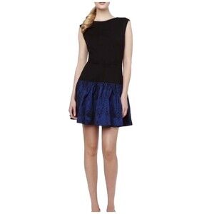 ERIN By Erin Fetherston Sleeveless Mini Dress In Sapphire Multi 12